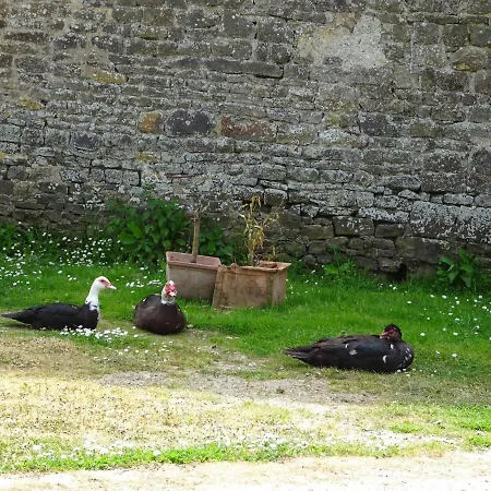 Casa de Férias Manor In Cotentin With Historic Charm *