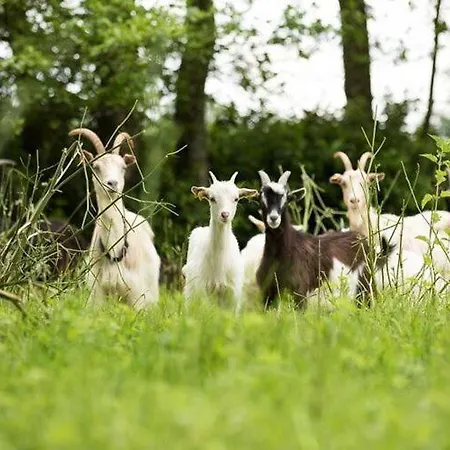 Prázdninový dům Manor In Cotentin With Historic Charm
