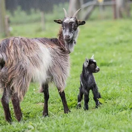 Manor In Cotentin With Historic Charm *