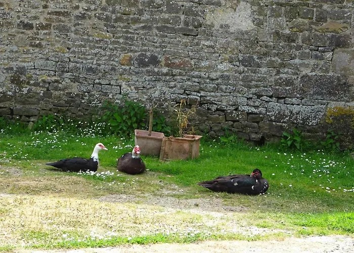 Hébergement de vacances Manor In Cotentin With Historic Charm *